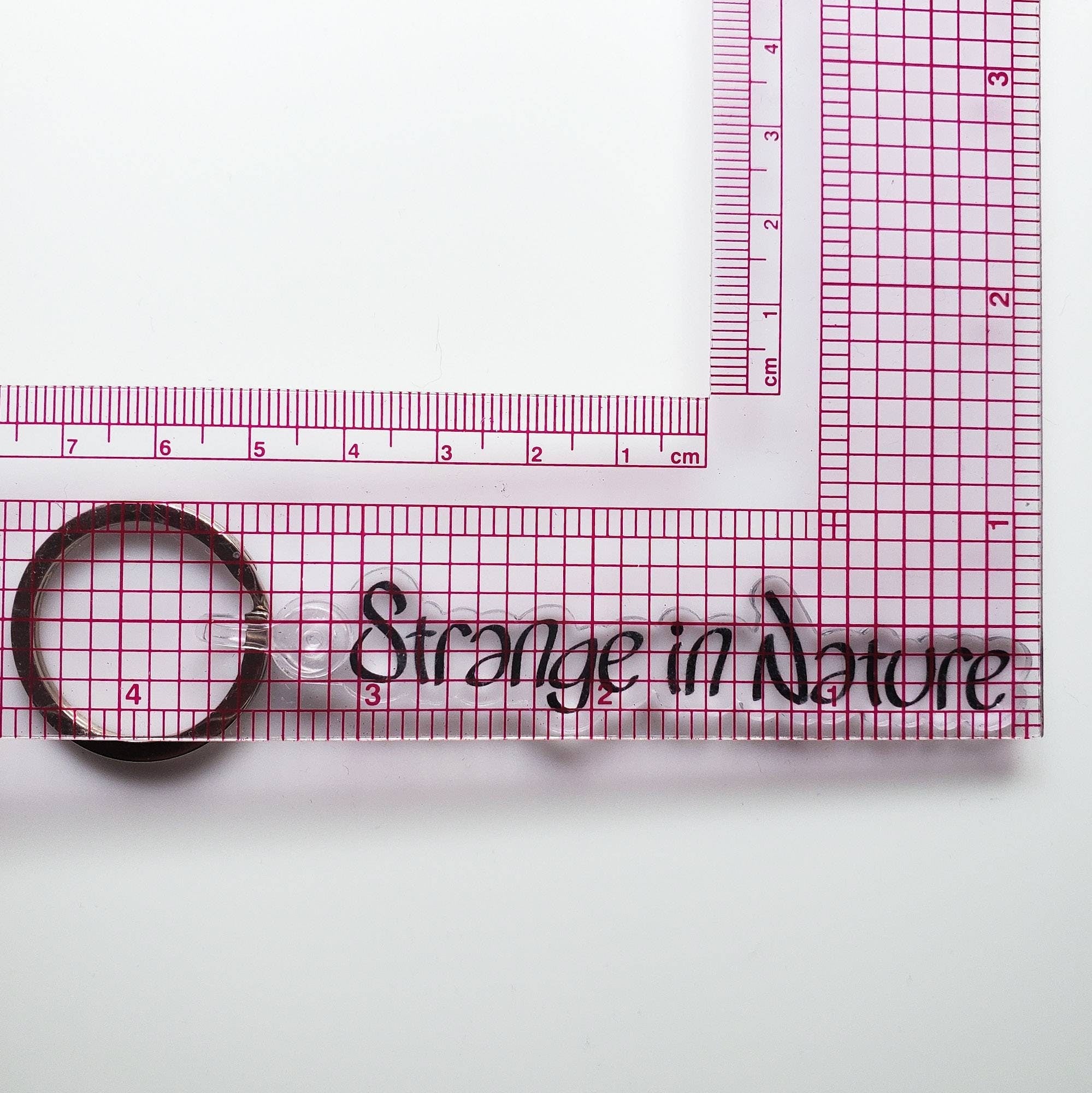 Strange in Nature Logo - Keychain
